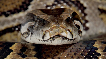 1775276528048 1775276528048