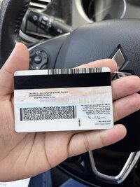 driver_license_photo_back20230524-7-4gyx12.jpeg