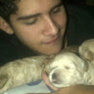 luiyipasito