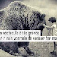 brites639