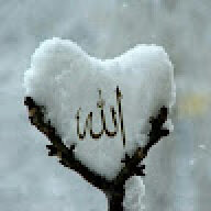 Roi7AH