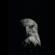 urdreadeagle
