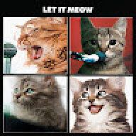 DevilMayCat