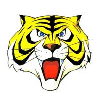 Tiger man