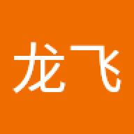 李龙飞