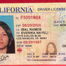 12000 PICS USA CALIFORNIA DL FRONT BACK SELFIE DATABASE