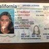 6000 pics fresh usa dl front back & selfie by erin PART 2