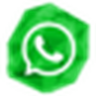Whatsapp Ai Monthly license