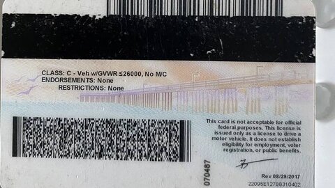 id license usa + SELFIE 2023 frech