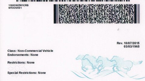 Front And Back Id Usa