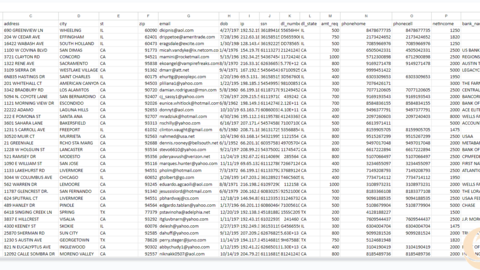 100k high quality ssn for survey and bank
