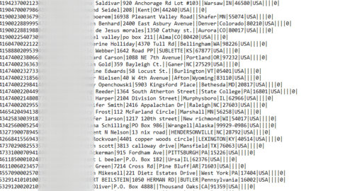 600,000+CREDIT CARDS SWARMSHOP LEAK + SSN | Full Database