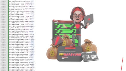 1M PLUS HOTMAIL COMBOLIST FULLZ DATA FRESH | LATEST VER. OCTOBER 2023 |