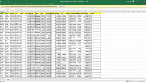 250k SSN with bank account info