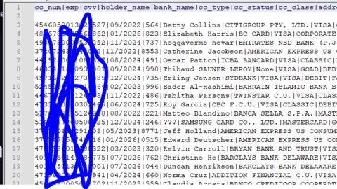 Frech And New DataBase Credit Card Full Private
