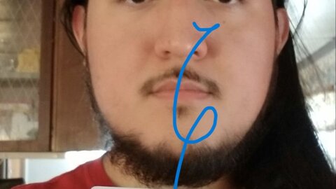 DL WITH FRONT & BACK & SLFIE & SSN