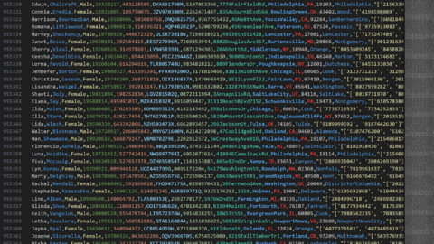 955k FULZZ from USA May- 2024 - Exclusive Private Sale, Limited First Hand |  Social Security Number