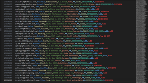 27,5M DataBase Consumer USA  May - 2024 - Exclusive Private Sale