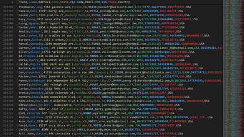 216k SSN DataBase USA  May - 2024 - Exclusive Private Sale | First Hand