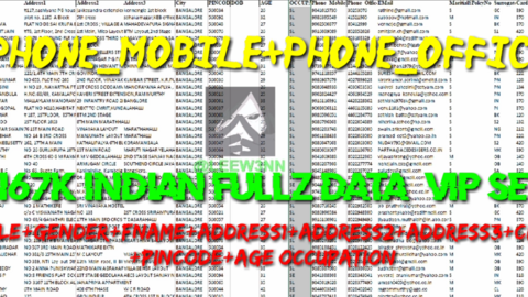 167k INDIAN FULLZ DATA {VIP SET}