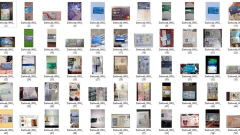 3000+ Passport | ID Card | Driver ID | CC |