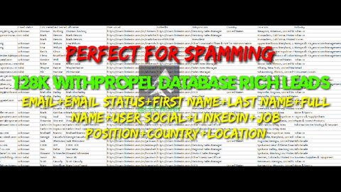 128K WITHPROPEL DATABASE RICH LEADS