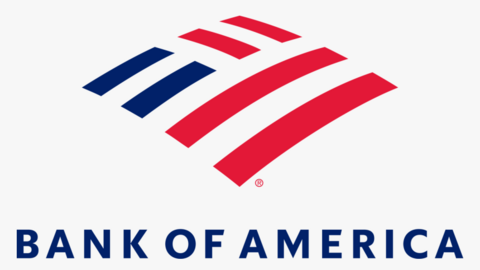 BANK OF AMERICA BUSINESS ACCOUNT WITH 10 MILLION USD BALANCE FRESH LOG