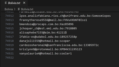 Bolivia Combo Fresh December 2024