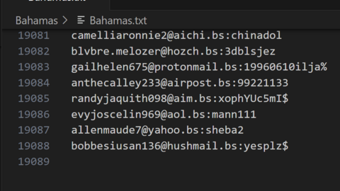 Bahamas Combo Fresh December 2024