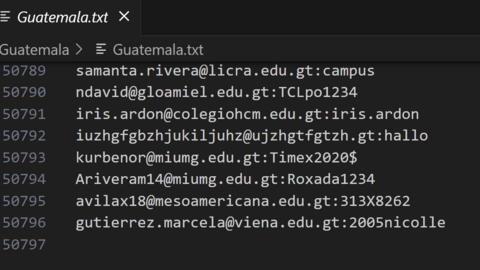 Guatemala Combo Fresh December 2024