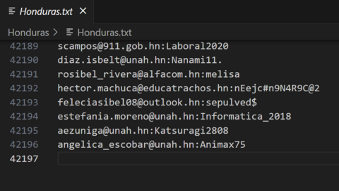 Honduras Combo Fresh December 2024