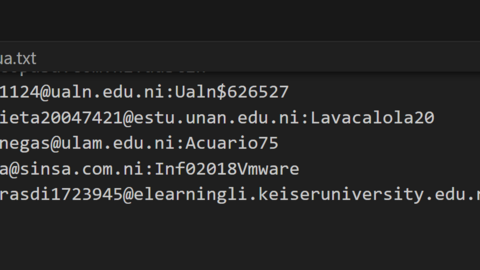 Nicaragua Combo Fresh December 2024