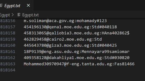 Egypt Combo Fresh December 2024