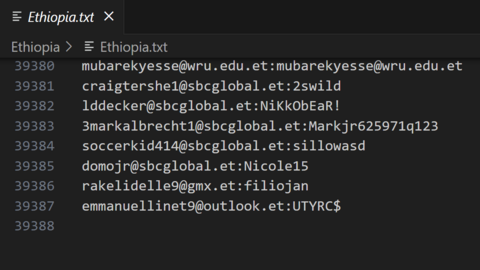 Ethiopia Combo Fresh December 2024