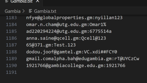 Gambia Combo Fresh December 2024