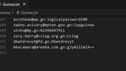 Guinea Combo Fresh December 2024