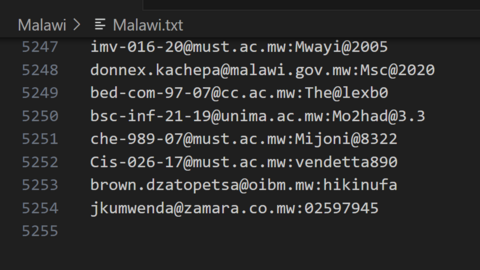 Malawi Combo Fresh December 2024