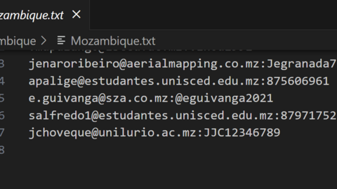 Mozambique Combo Fresh December 2024