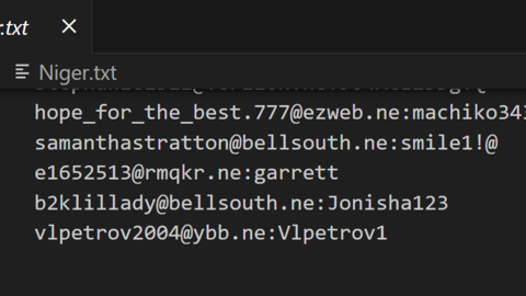 Niger Combo Fresh December 2024