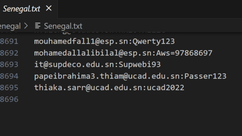 Senegal Combo Fresh December 2024