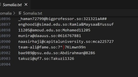 Somalia Combo Fresh December 2024