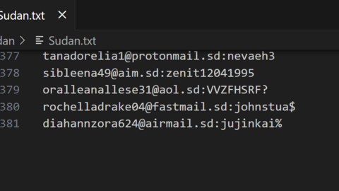 Sudan Combo Fresh December 2024