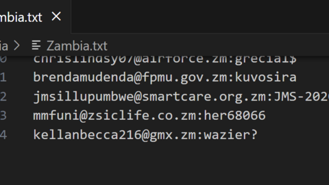 Zambia Combo Fresh December 2024