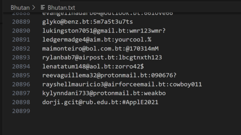 Bhutan Combo Fresh December 2024