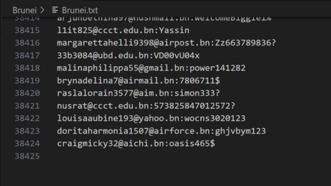 Brunei Combo Fresh December 2024