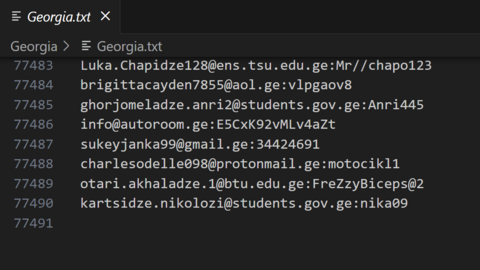 Georgia Combo Fresh December 2024
