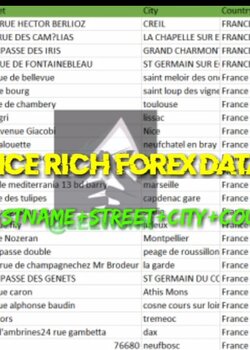 [52K] FRANCE RICH FOREX DATASET [VIP]