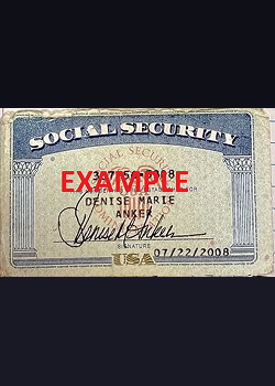 SSN with DOB & Driving License