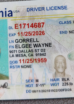 USA FREASH DL FRONT BACK & SELFIE PLUS SSN  64 PICS PACK NEW FILE