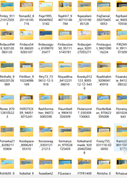 Malaysian ID card + selfie 1600 copies